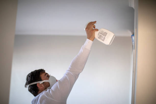 Best Mold Removal Near Me  in Brevard, NC